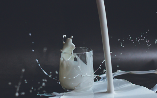 Make Your Own Yogurt